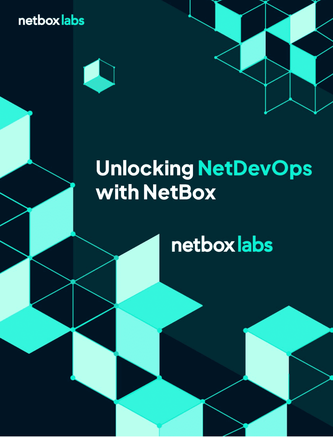 Unlocking NetDevOps
