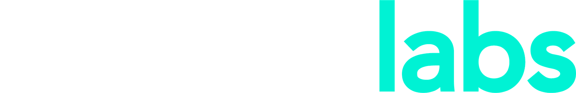 Netbox Labs Logo White