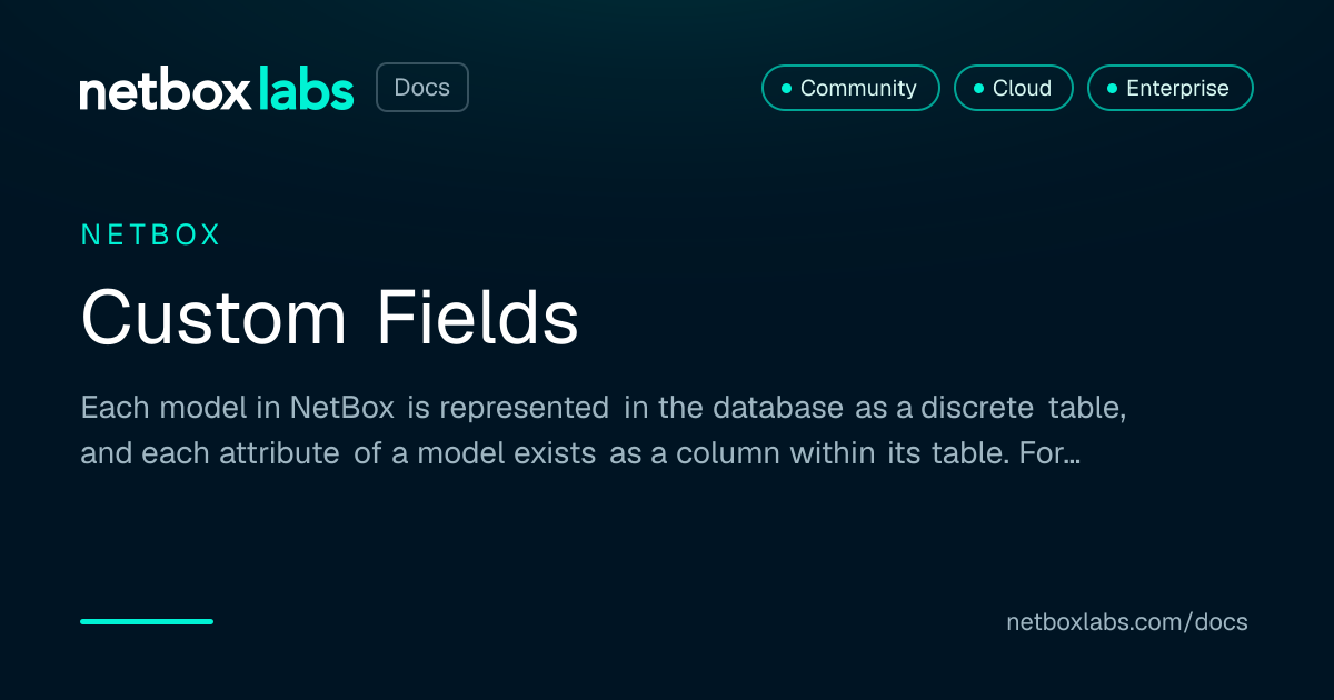 Custom Fields | NetBox Labs Docs