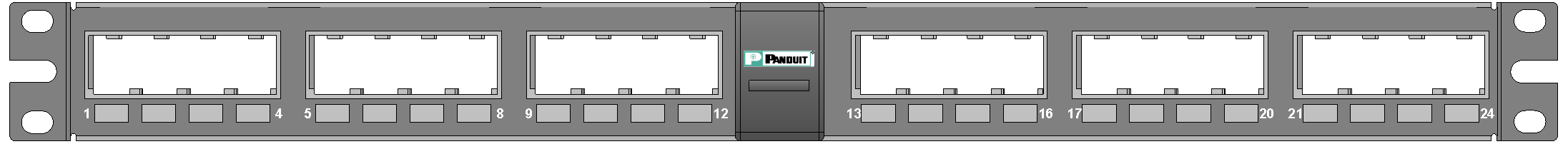 Panduit Mini-Com Shielded Angled Patch Panel (24 Port, 1RU) front view